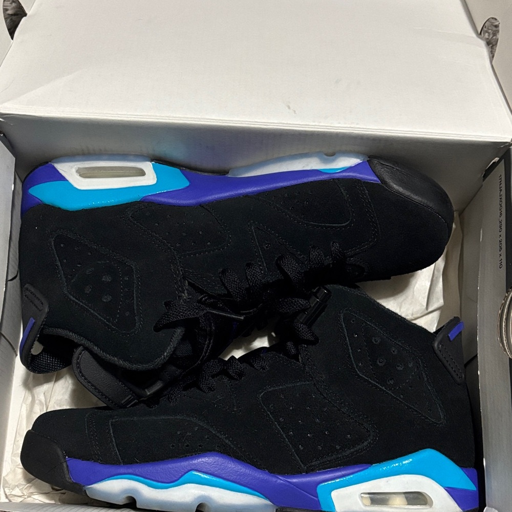 Jordan 6s Black, Blue and Purple